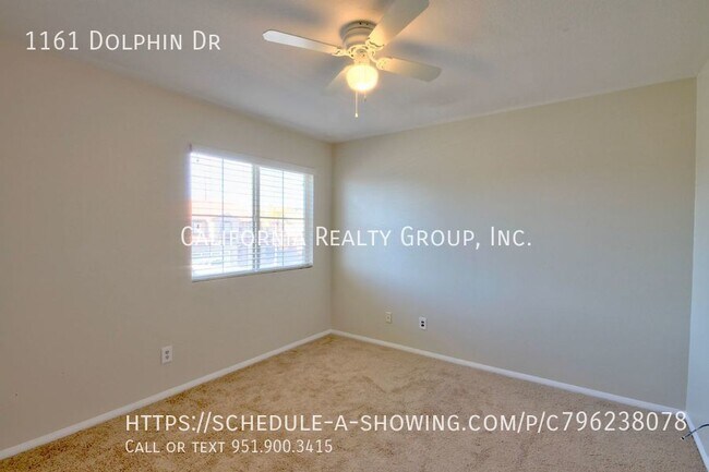 Building Photo - 1161 Dolphin Dr
