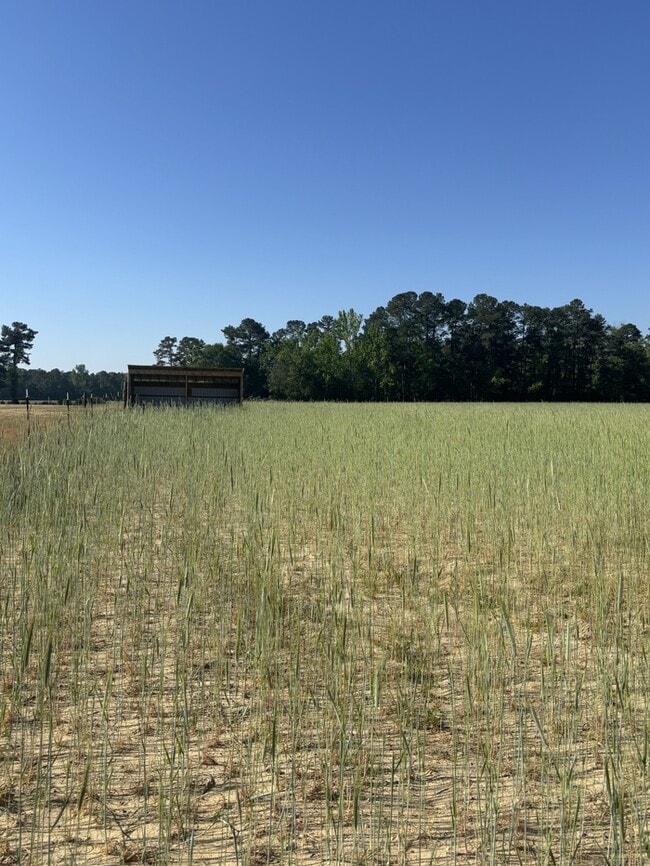 Building Photo - 5018 Bryant Pond Rd