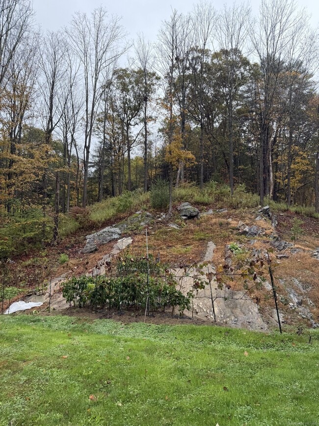 Building Photo - 91 Reynolds Bridge Rd