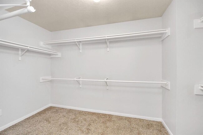 Building Photo - 4310 Lucas Trace Ct
