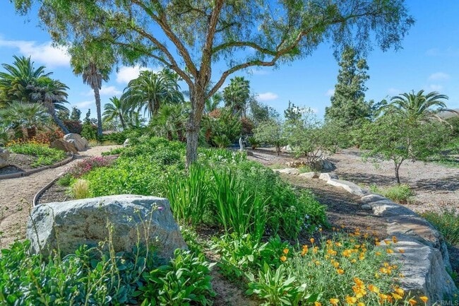 Building Photo - 7187 Via De Maya