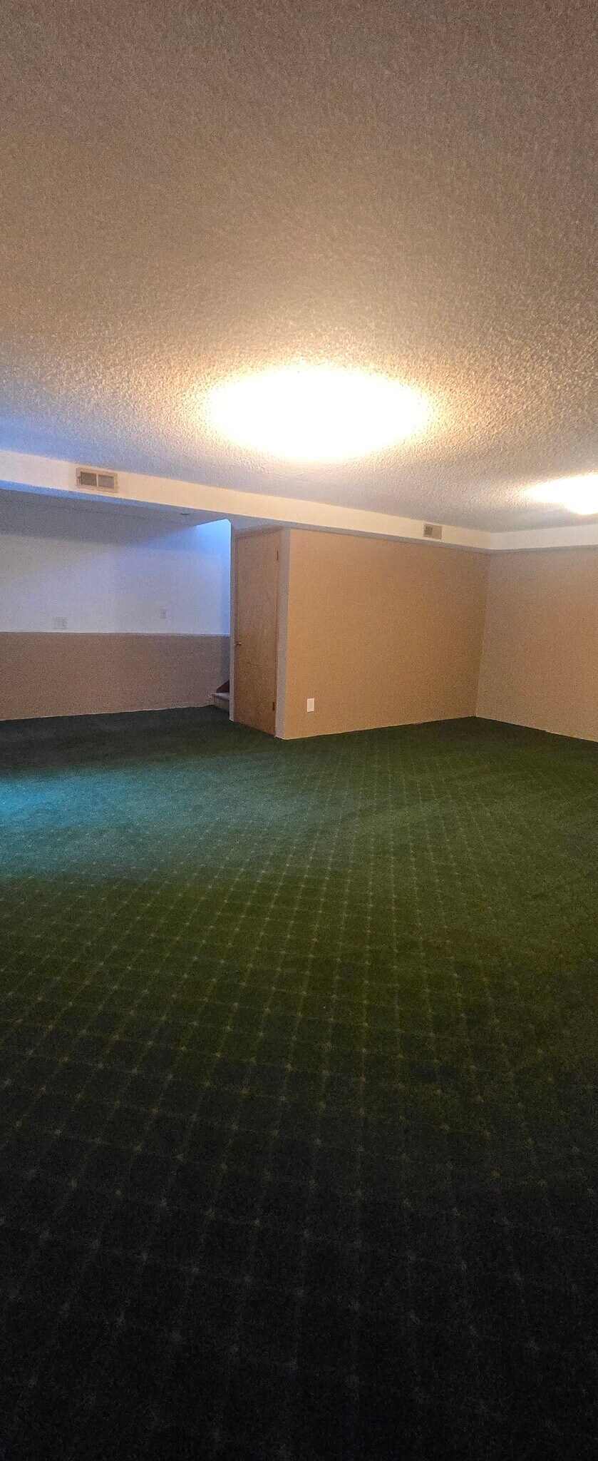 Downstairs living space - 2020 151st Ave SE