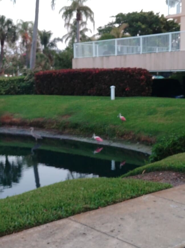 Building Photo - 7432 Sunshine Skyway Ln S