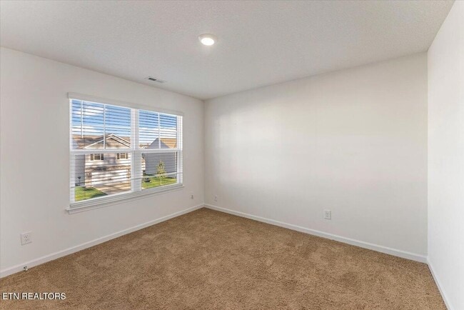 Building Photo - 1013 Curly Top Ln