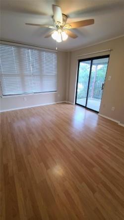 Building Photo - 2409 Leon St