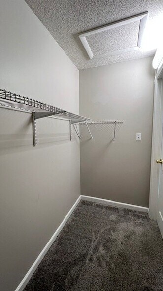 Building Photo - 3117 Holly Brook Cir