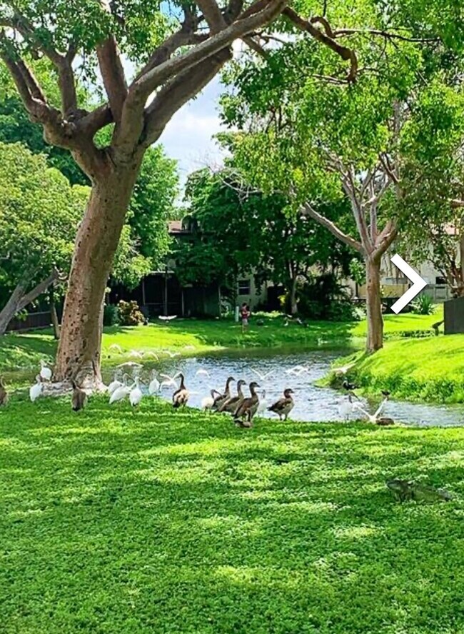 Lake - 6602 SW 114th Ave