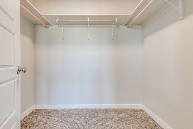 Building Photo - Roe Street Townhomes