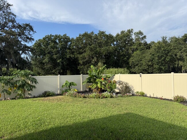 fenced back yard - 244 Whispering Oaks Way