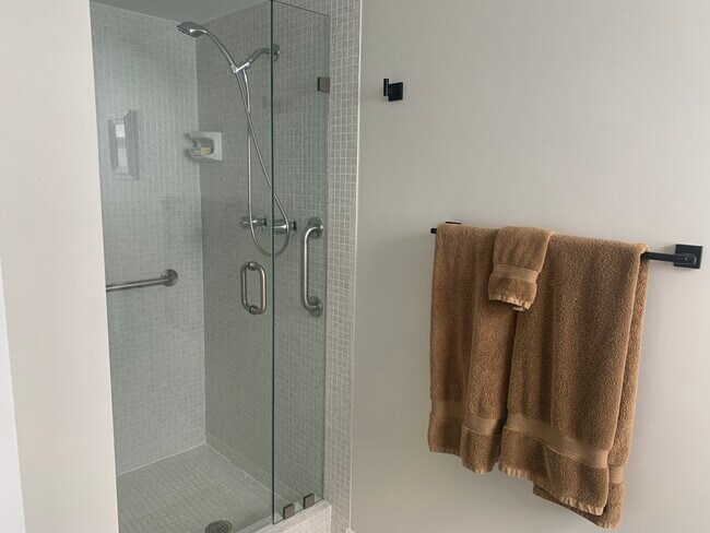 2nd bathroom shower w/ rails - 21 Colonial Club Dr