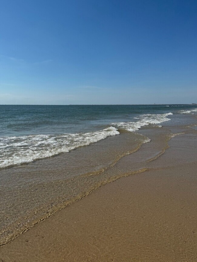 Building Photo - 229 Burkett St