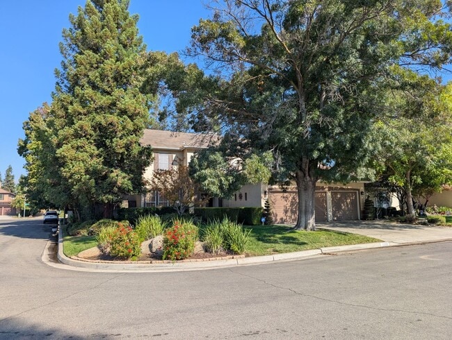Building Photo - Nice and modern home with upgraded ameniti...