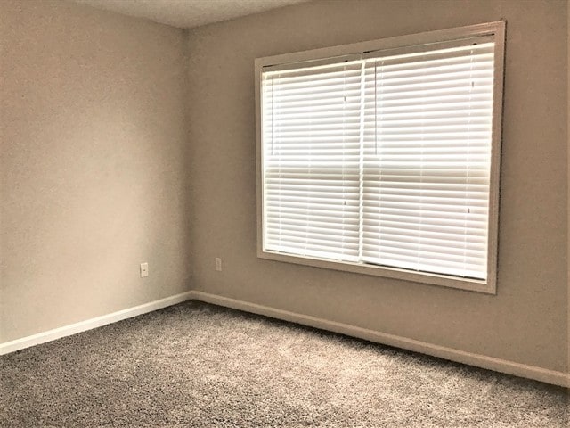 Building Photo - 402 River Summit Dr