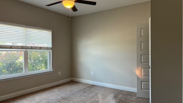 Building Photo - 6425 Chickory Way