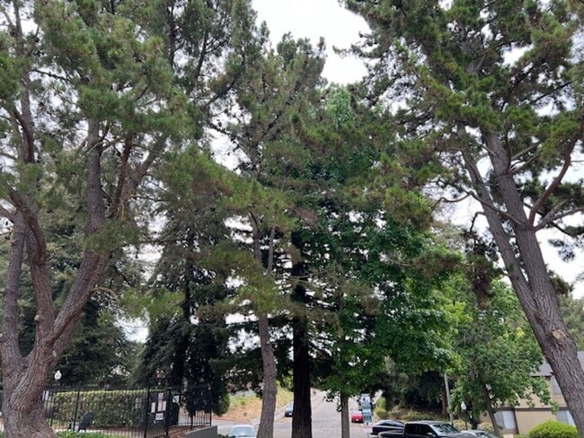 Building Photo - Beautifully remodeled 1 bedroom & 1 bath unit near Six Flags in Vallejo