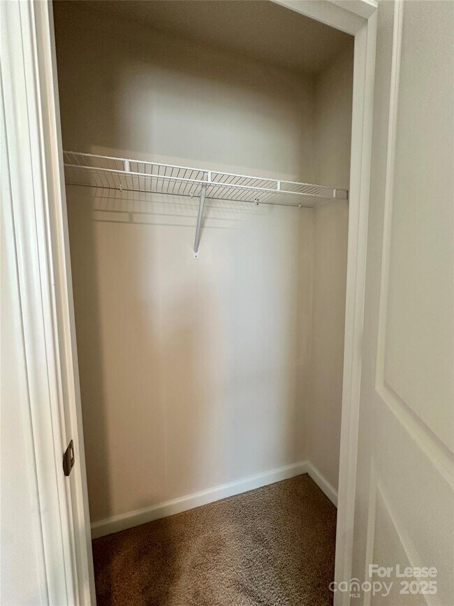 Building Photo - 1605 Blue Velvet Ln