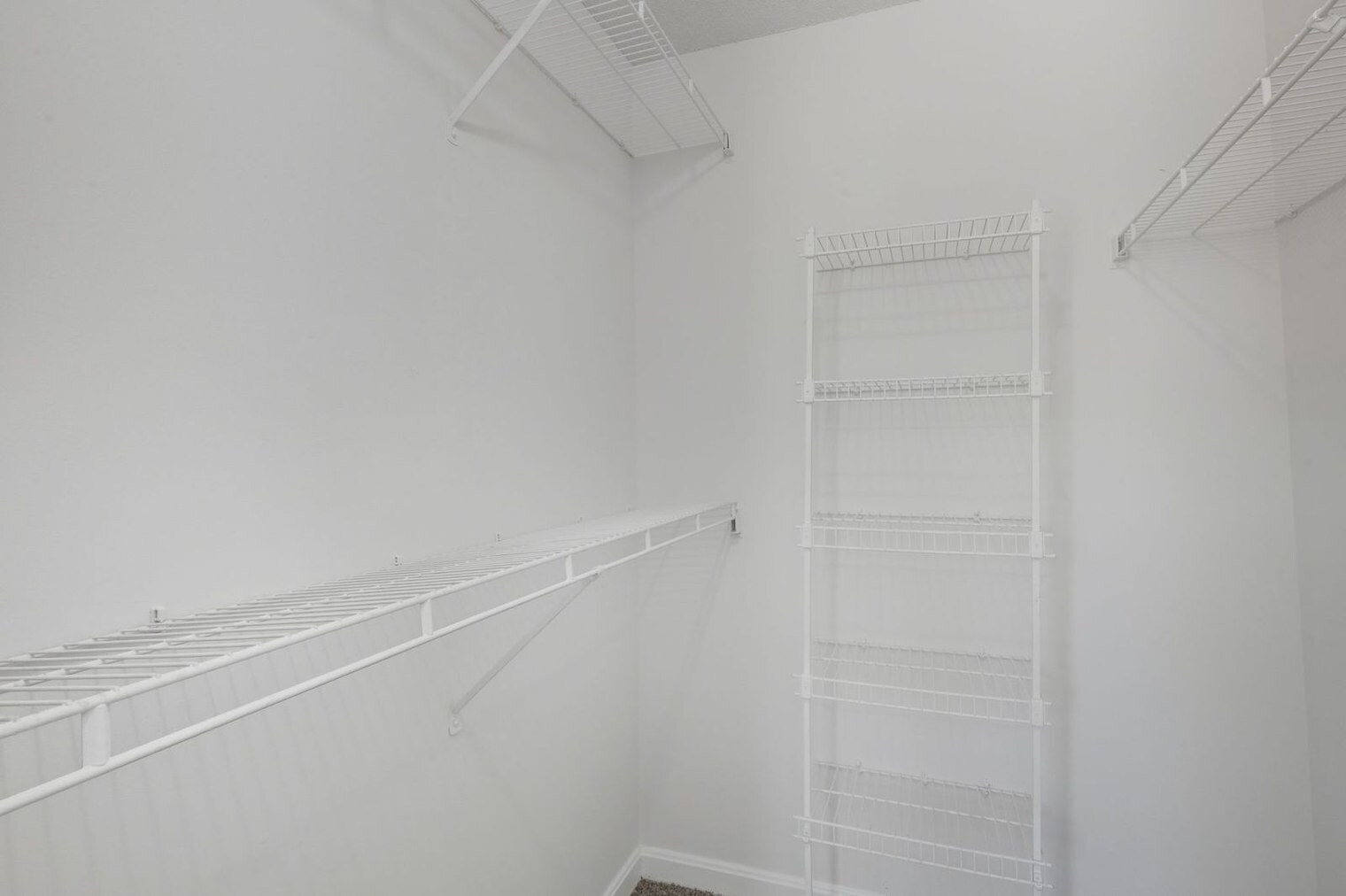 Building Photo - 2301 Deer Path Cir