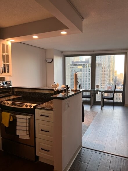 View from Kitchen - 440 N Wabash Ave