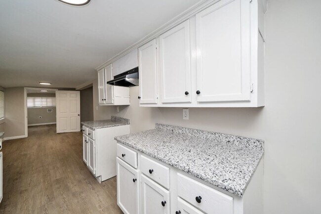 Building Photo - Beautiful New 4bd/2bath -Don’t Miss This!