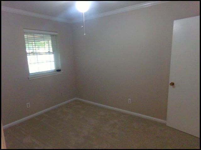 Building Photo - 15 Lillie St