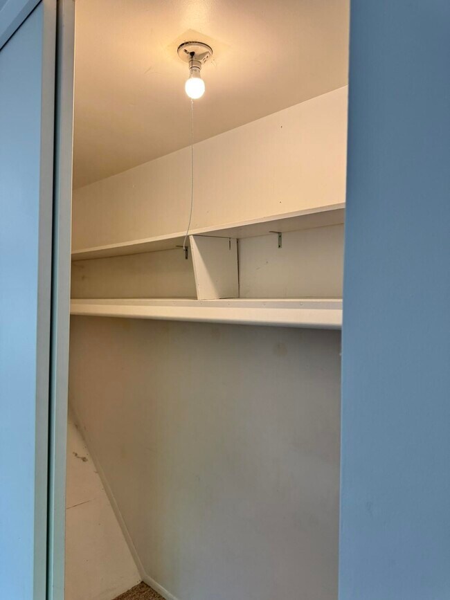 Building Photo - 3200 Bolgos Cir
