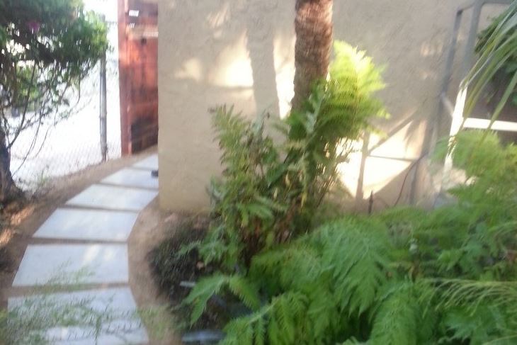 Front yard - 1766 Carmona Ave