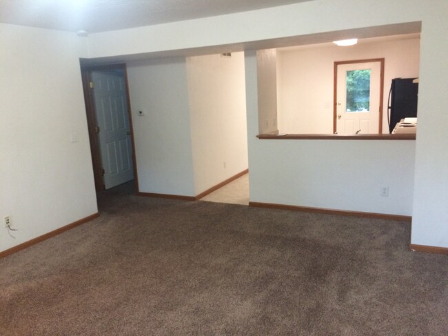 The carpet has been replaced with vinyl plank flooring. - 3239 W Michigan Ave