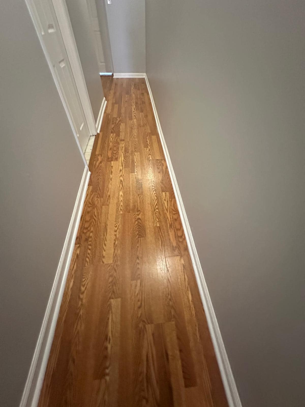 The entire hallway, bedrooms, and laundry room include newly installed, waterproof laminate flooring - 1426 Madison Ave