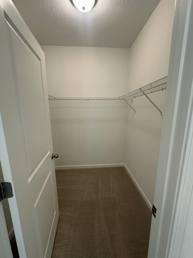 Building Photo - 572 Silver Landing Dr