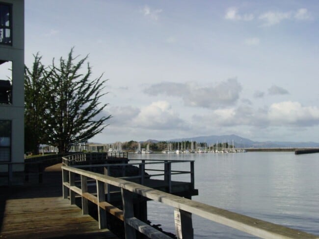 Building Photo - Designer Living in Waterfront Furnished Condo