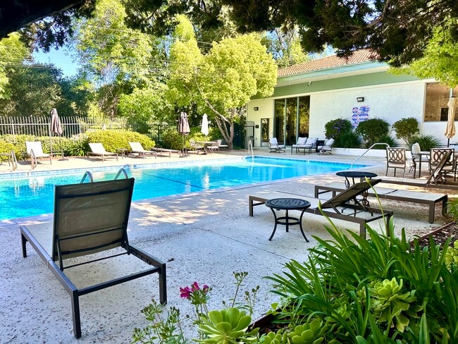 Resort like pool area - 4648 Park Granada