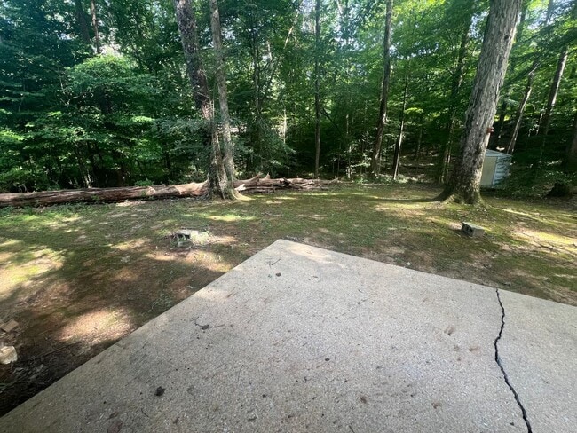 Building Photo - 2/1 Duplex in Northport