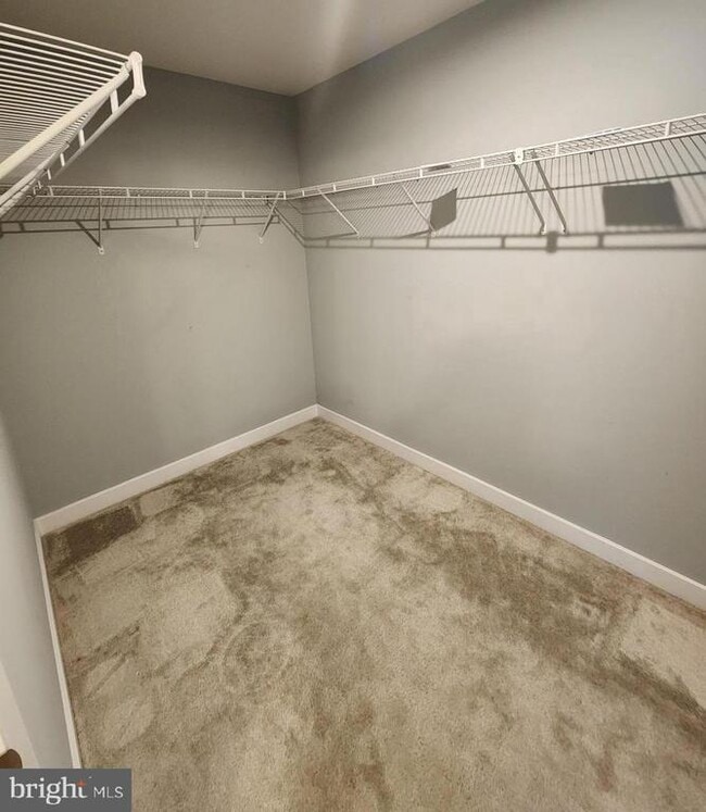 Building Photo - 771 Switchgrass Ct