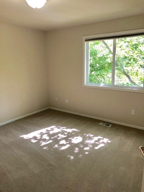 Building Photo - Beautiful Peaceful Timberline Home