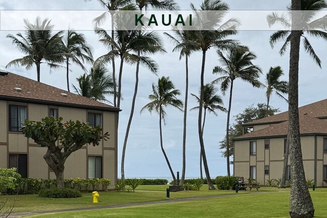 Primary Photo - Pono Kai