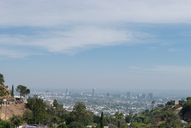 views - 8811 Rising Glen Pl