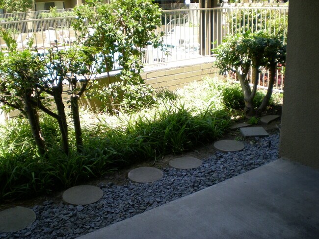 Patio - 1775 Diamond St