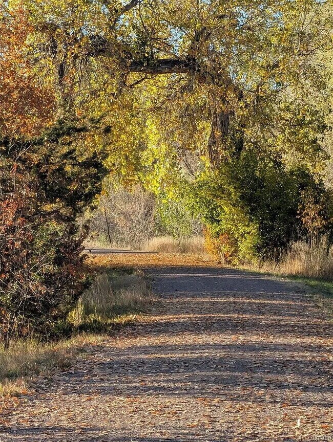 Building Photo - Welcome Home to this cozy condo in Highline Meadows!