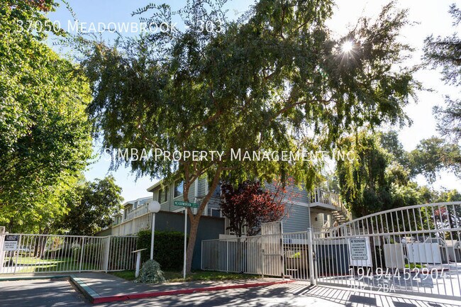 Building Photo - 37050 Meadowbrook