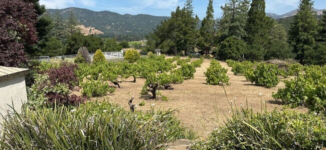 Building Photo - Hilltop Estate in Green Valley-Fully Furni...