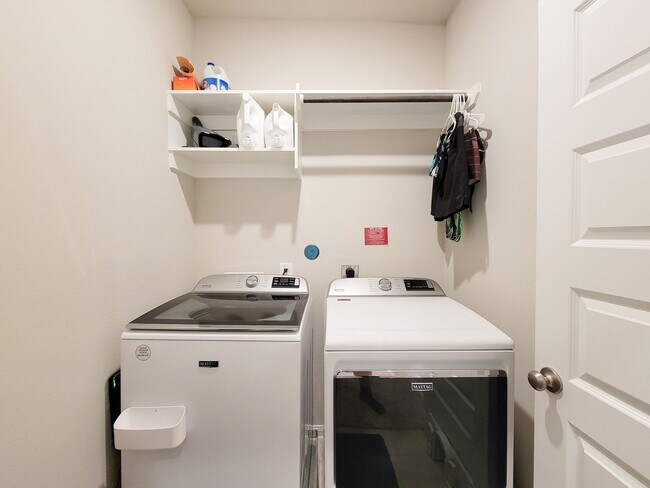 Building Photo - A true gem on a quiet corner lot, this spacious and sun-filled home is tucked away from street no...