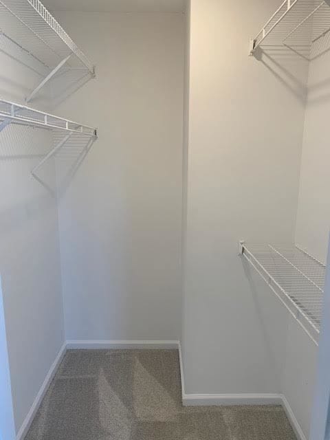 Building Photo - 3829 Sterling Pointe Dr