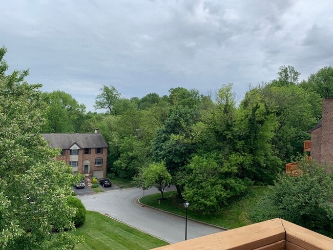 Building Photo - Welcome to River Woods!