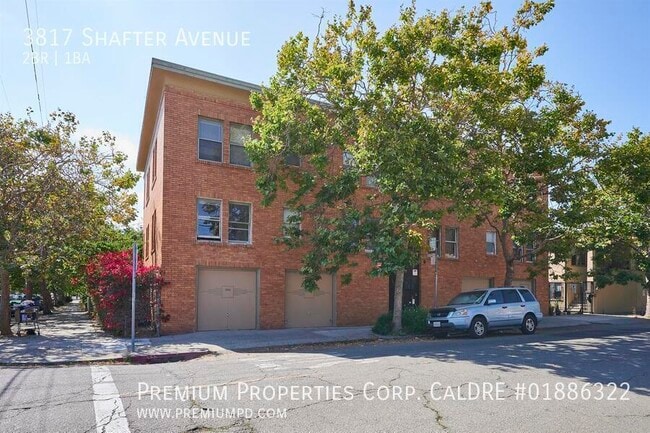 Primary Photo - 3817 Shafter Ave