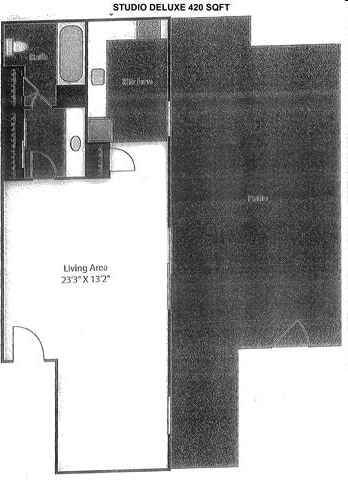 Studio - Palmetto at Lakeside