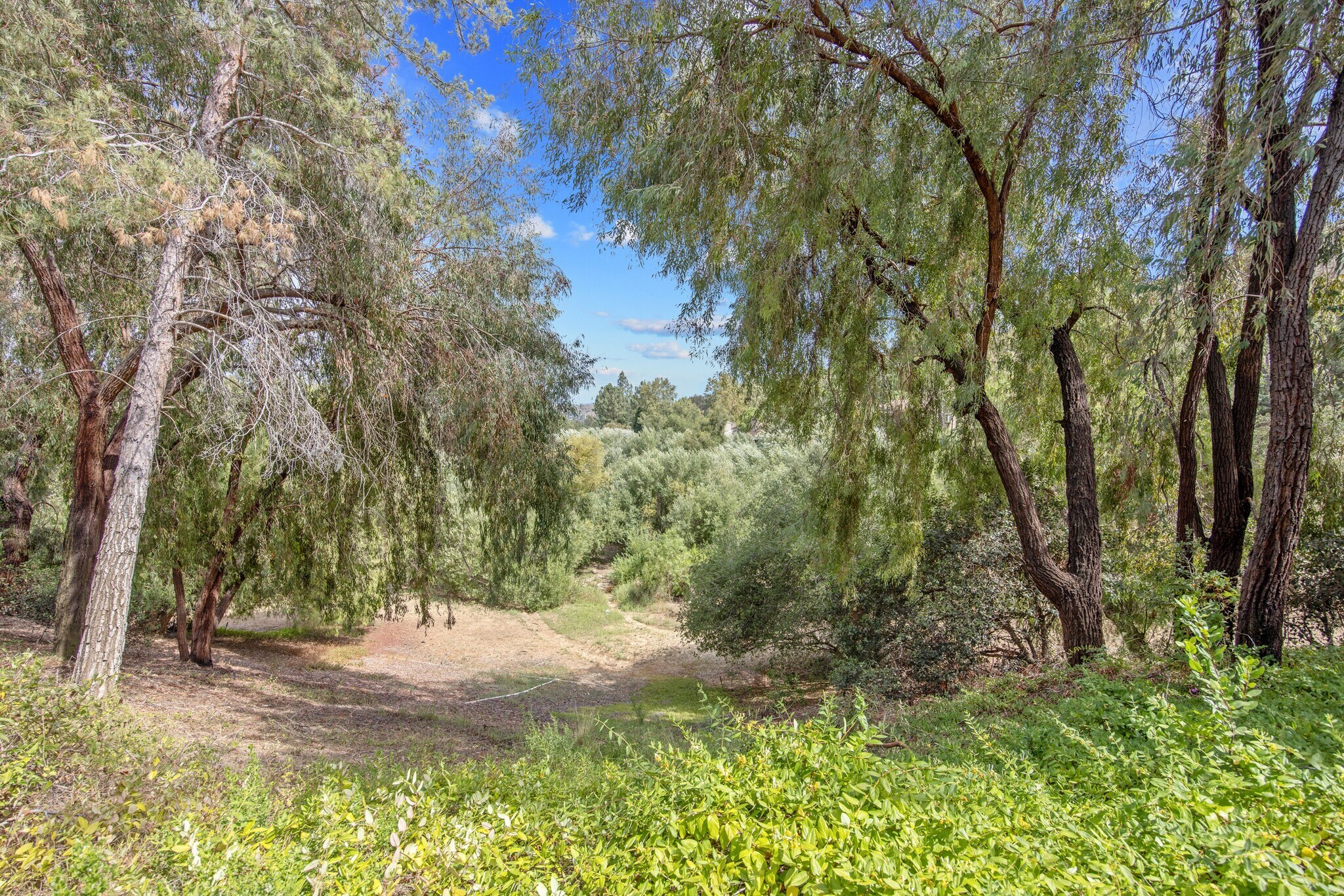 Building Photo - 5530 Spanish Oak Ln
