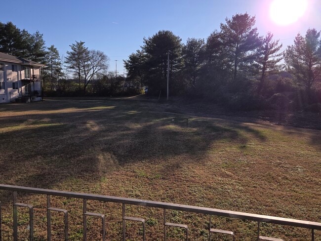 Executive House Back Yard - 613 Hillsboro Rd