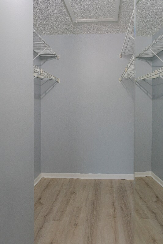 Building Photo - 8215 Sun Spring Cir