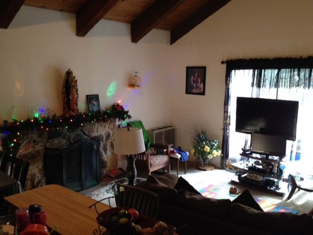 Living Room - 1051 Tomahawk Trl