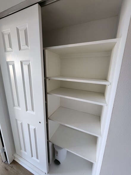 Hall closet - 253 E Delaware Pl